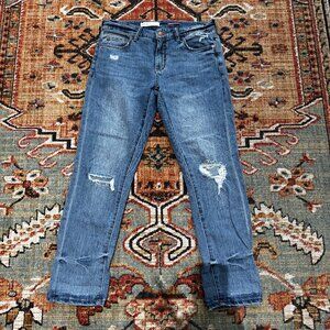 Anthropologie Pilcro and The Letterpress Slim Boyfriend, Size 28